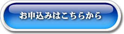 融資のための事業計画書の書き方ＤＶＤ